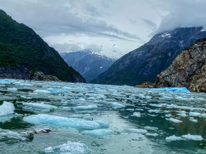 TracyArm_icefield