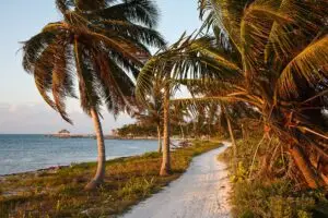 A sandy path along the shore of the Caribbean.