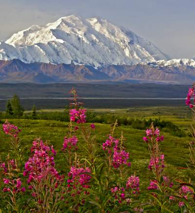 Denali & Talkeetna By Rail – 2024 - Explore Beyond Your Boundaries