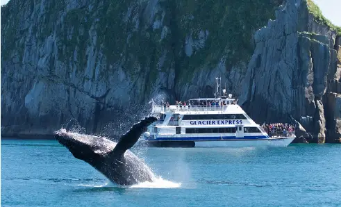 kenaifjords7hr