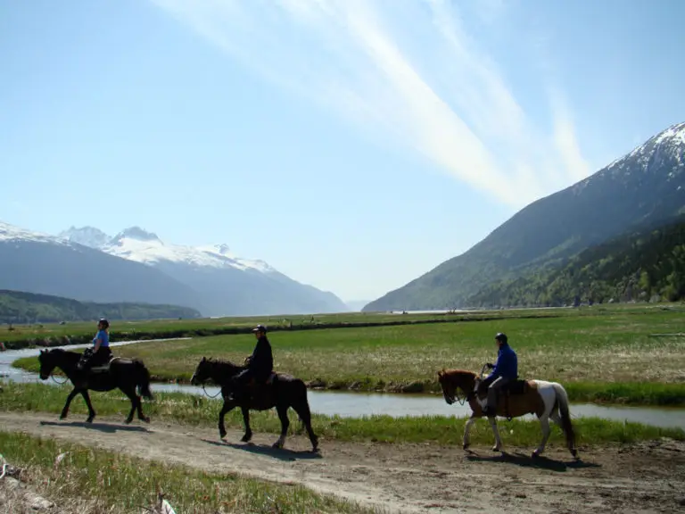 Chilkoot-Horseback-5