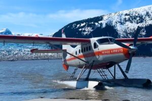 wingsairways3